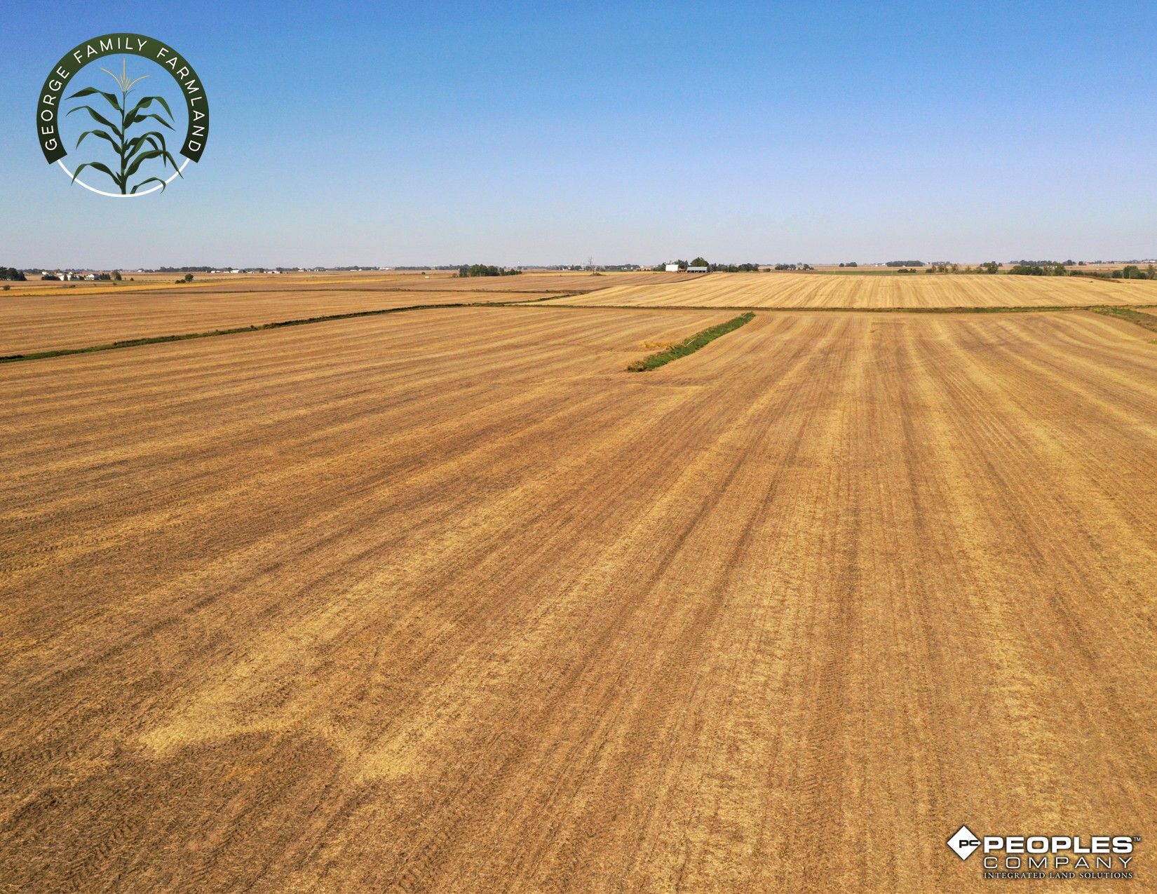 Listing Photo: Boone-County-Iowa-Farmland-Available-Near-Madrid-Iowa-18417 (8)